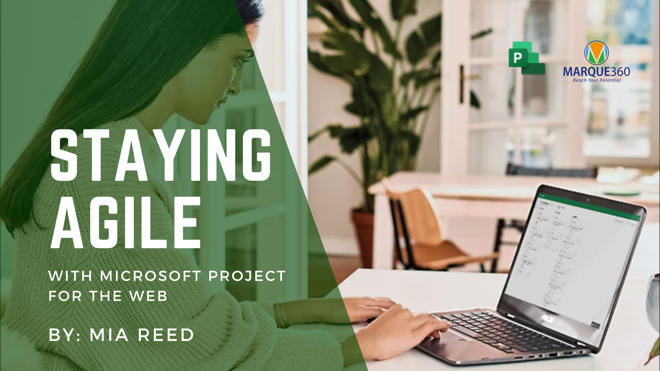 Blog Banner for Website Content 2